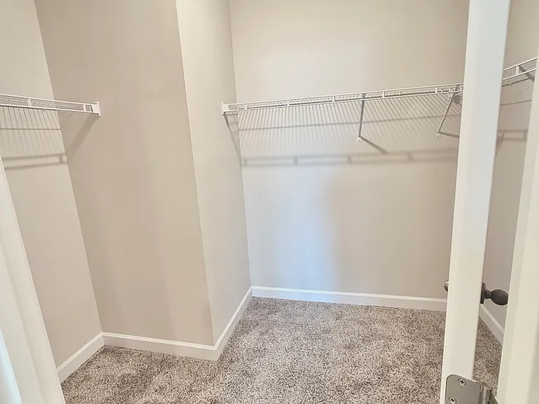 Master Walk-in closet