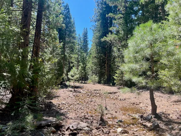 1701 Knobcone Trl, Johnsville, CA 96103