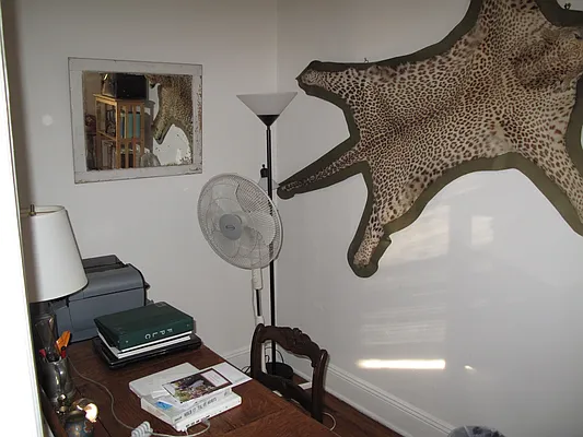 Rented by Fanning Realty | media 19