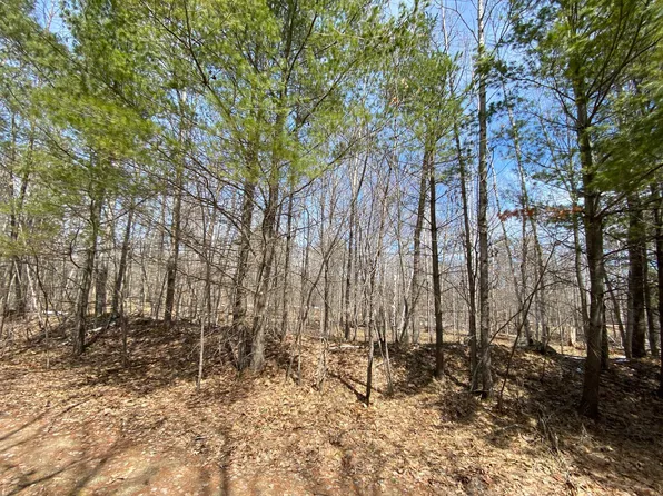 Ja Bird Loop NE, Longville, MN 56655