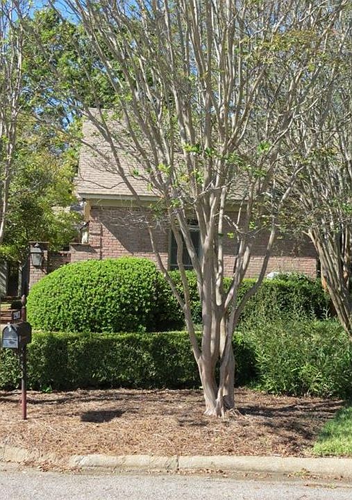 1st image of 2917 Jamestown Dr