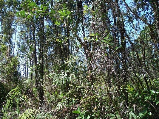 2nd image of Hawaii Rd Lot 780