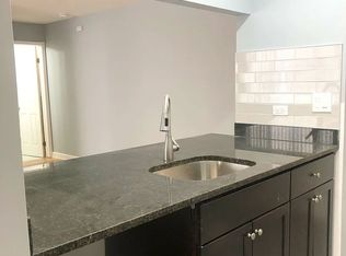 663 W Grace, Chicago, IL 60613
