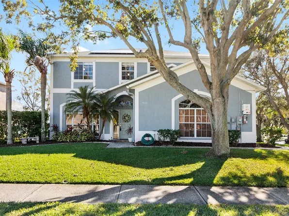 1600 Gray Bark Dr, Oldsmar, FL 34677