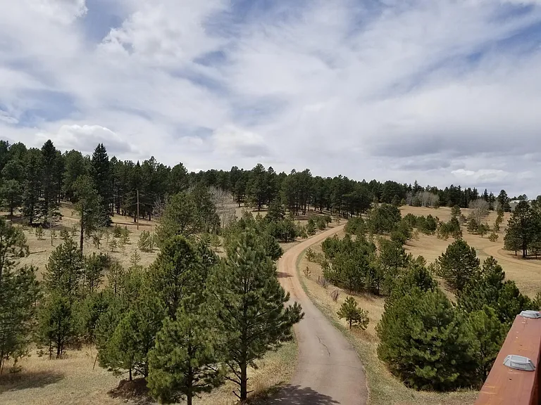 Driveway. Four-wheel or all-wheel drive needed.