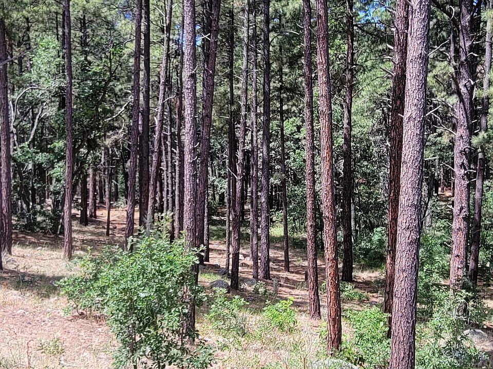 1st image of 1088 Timbernook Xing Lot 24