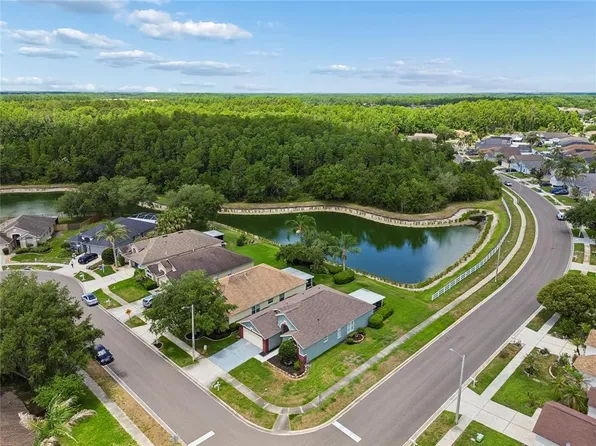 30600 NICKERSON LOOP, WESLEY CHAPEL, FL 33543