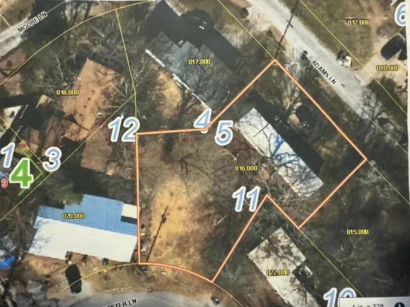 28 Adams Lane, Blue Eye, MO 65611