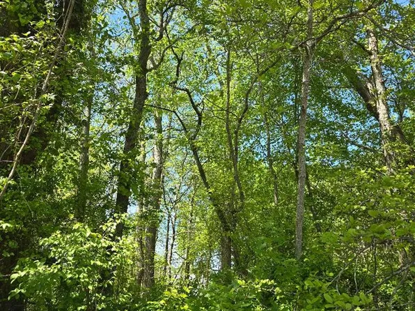 0 Winterville Rd, Bloxom, VA 23308