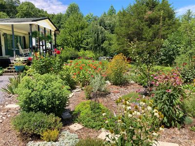 3719 Upper Shut In Rd, Hot springs, NC, 28743