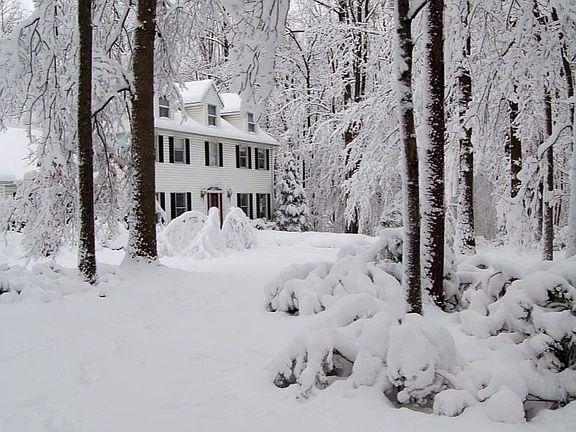 Winter Wonderland
