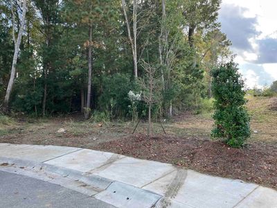 13.39 Acres Harbour Blvd., Myrtle Beach, SC, 29577