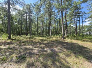 Peach Orchard Rd LOT 38, Wagram, NC 28396