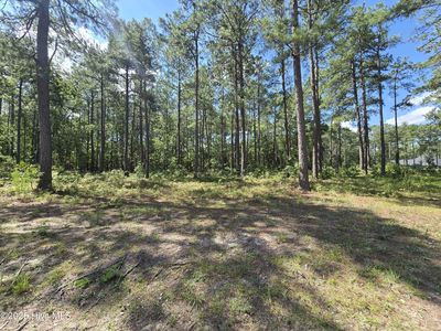Tbd Peach Orchard Road, Wagram, NC, 28396