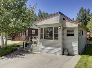 85 Revett Dr, Dillon, CO 80435