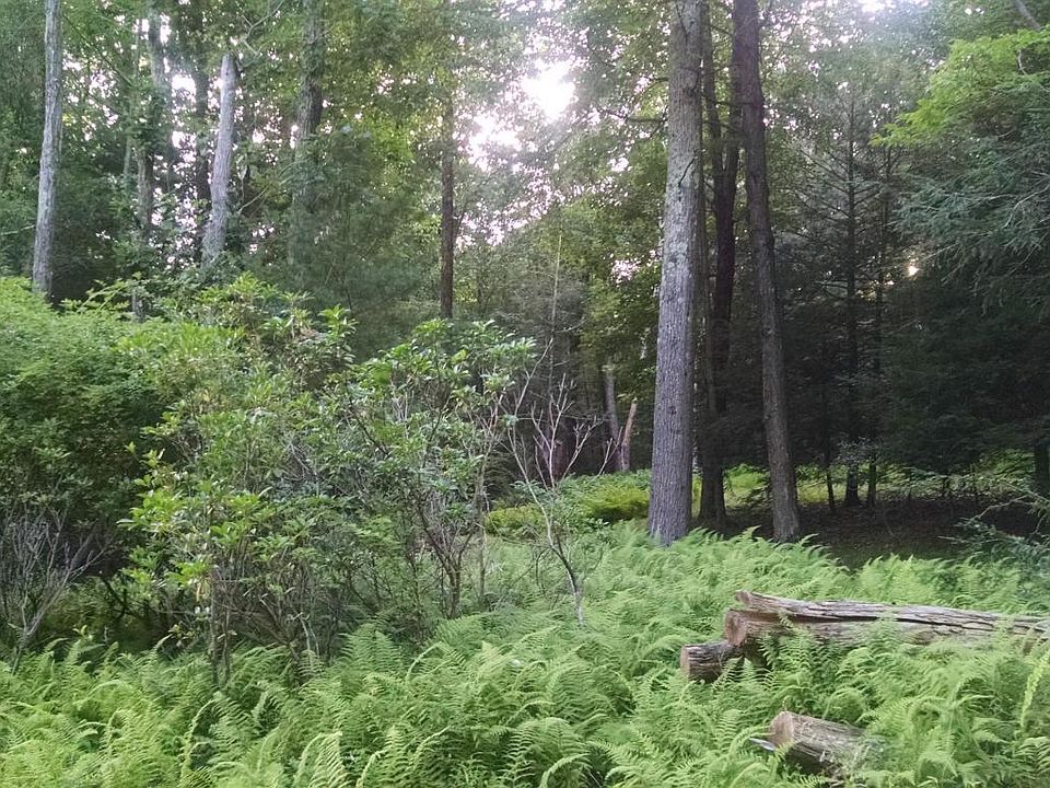 1st image of 245 Cobble Creek Dr