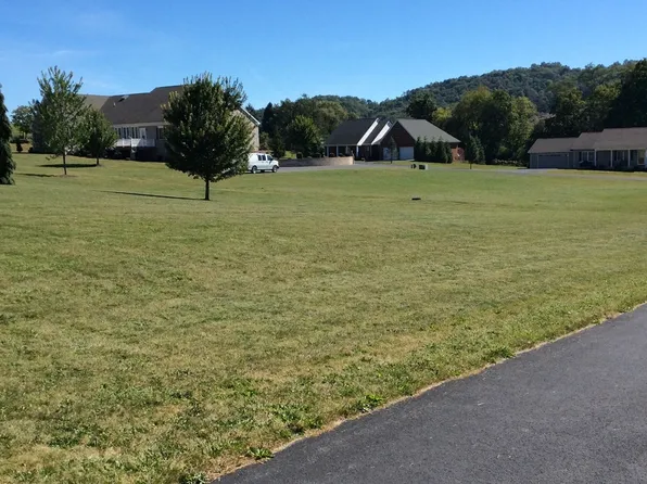 Goldenrod Ln, Monterey, VA 24465
