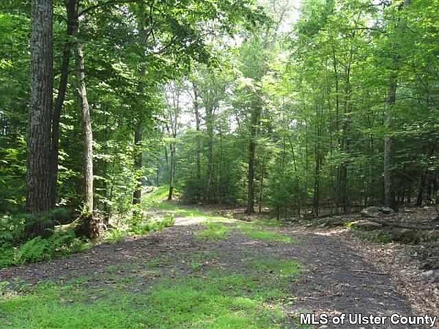 3875 Atwood Rd, Stone Ridge, NY 12484 | Zillow