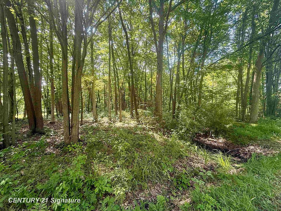1st image of 0 Seymour Rd