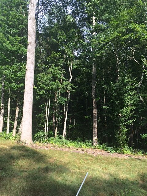 2nd image of 955 Monte Vista Rd