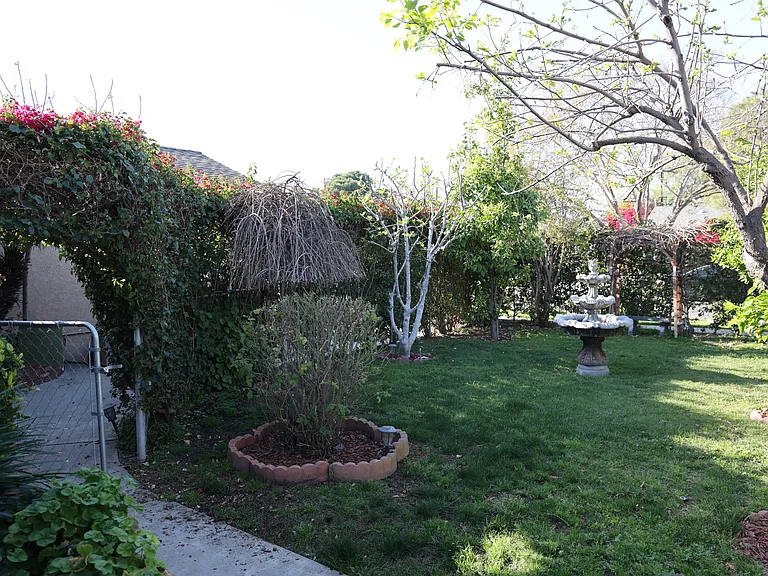 Front yard