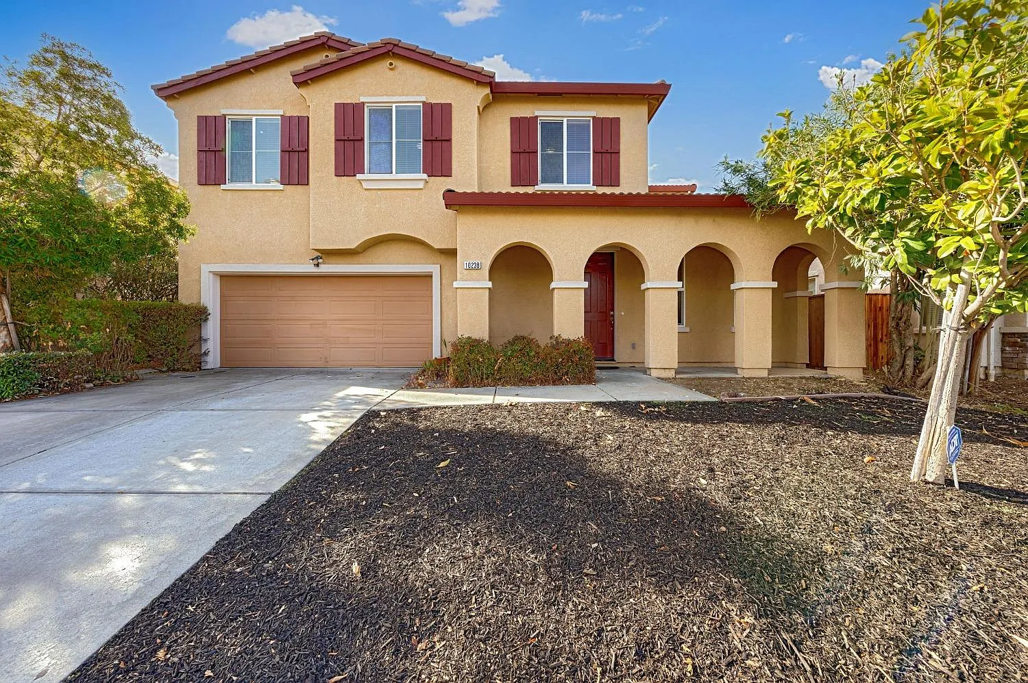 10238 Porto Moniz Way photo 1