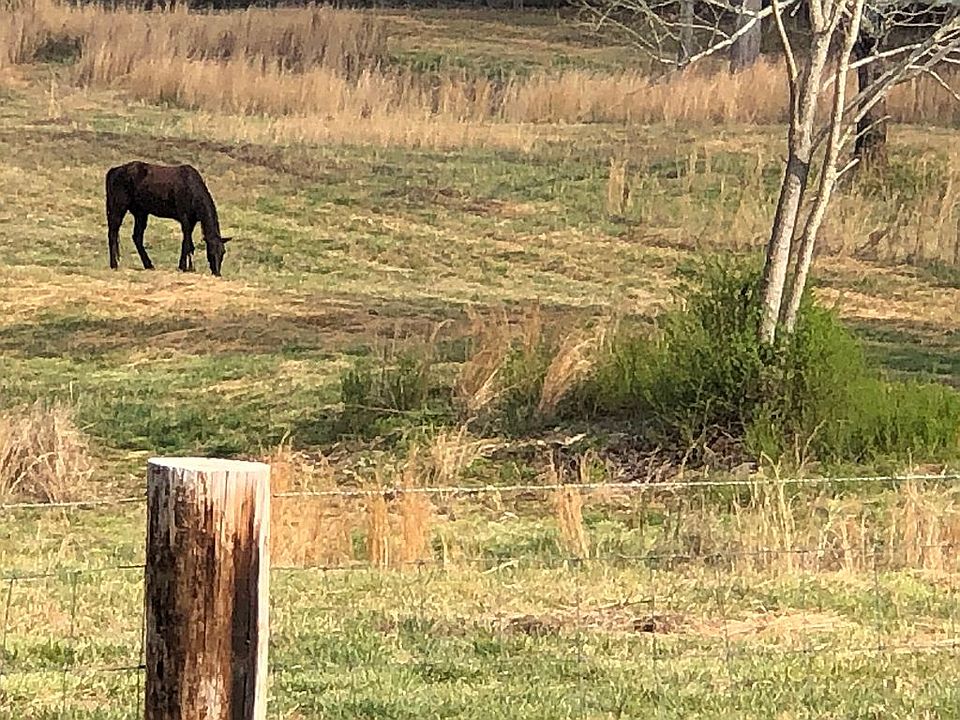 2nd image of 1799 County Road 452