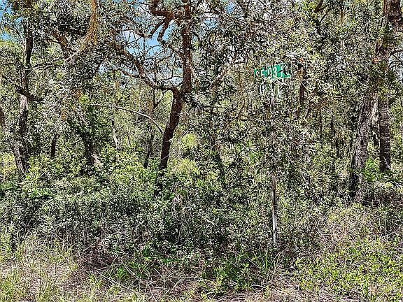 4th image of 0 SE 197TH AVENUE LOT 6