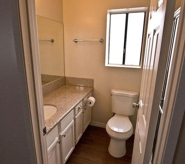 Master bath, shower is behing the door (Not shown in picture)