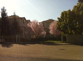 1st image of 5099 Mozart Dr