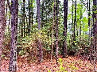 Meadowview Mollusk, Lancaster, VA 22503