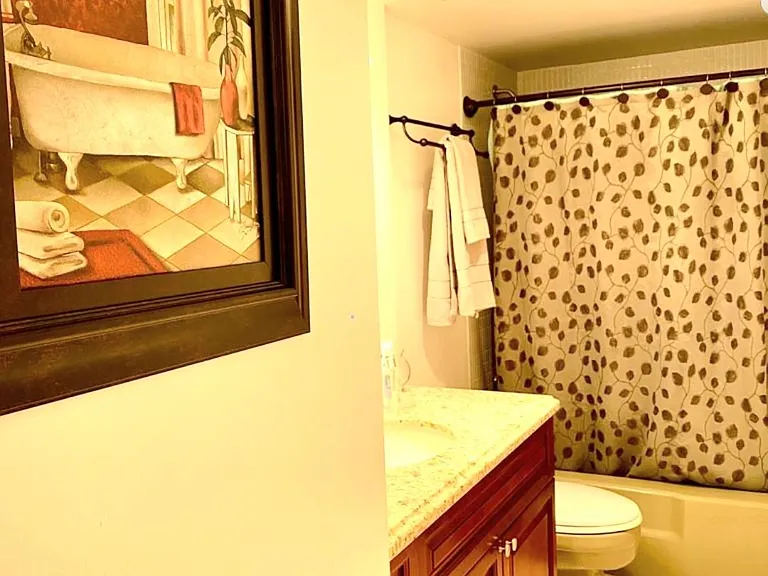 Guest bathroom