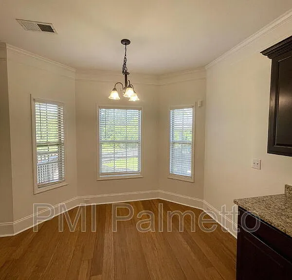 215 Emanuel Creek Dr — Photo 9
