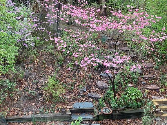 4th image of 9211 Three Oaks Dr