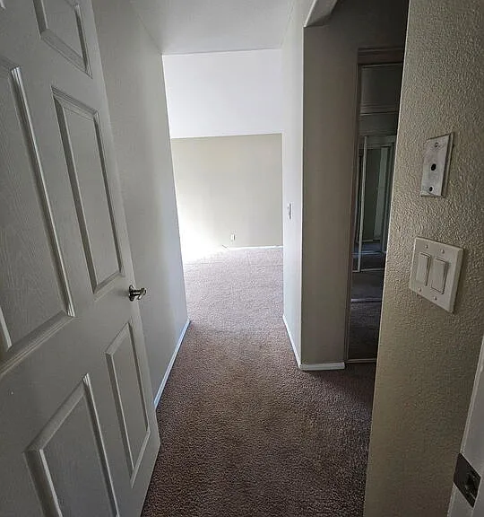 25232 Carson Way — Photo 57