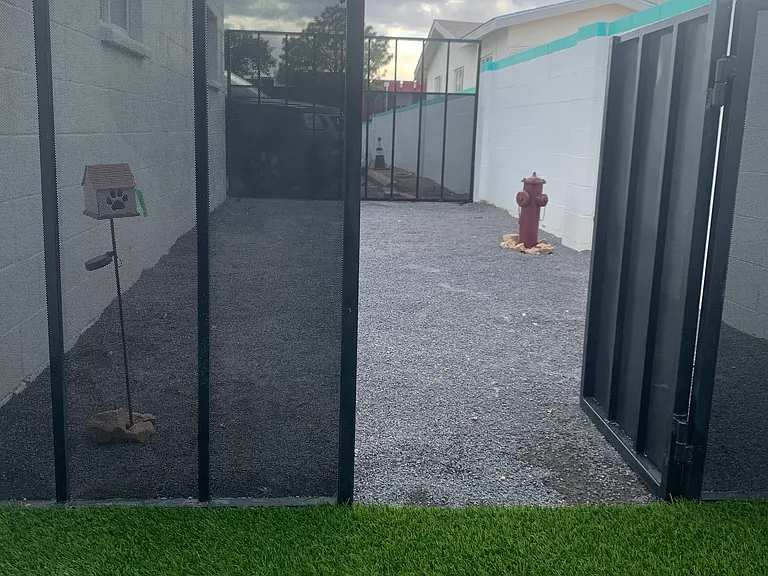 Dog run_08282021