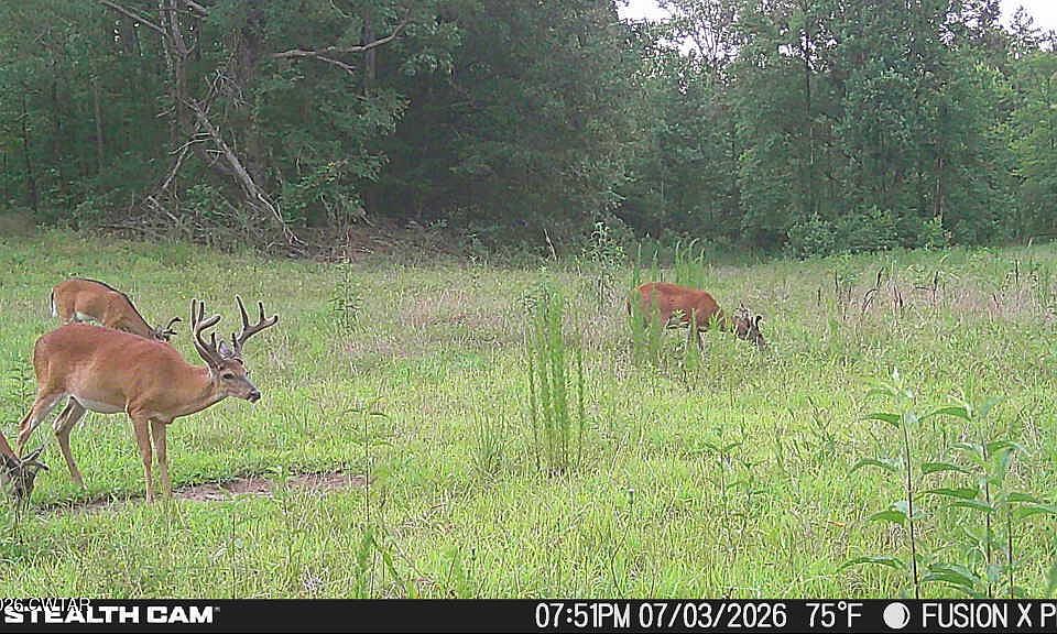 1st image of 0 Arthur Byrd Rd