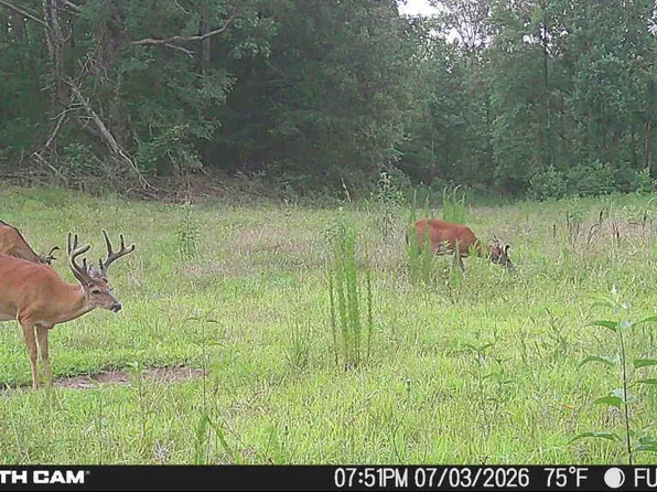 0 Arthur Byrd Rd, Pocahontas, TN 38061