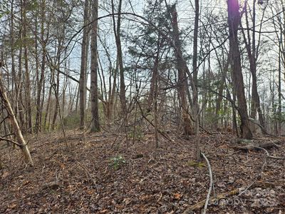 57 Whitney Blvd, Lake Lure, NC, 28746
