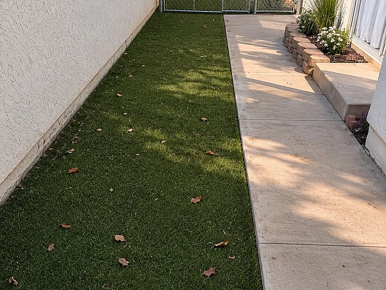 Carissa Dr — Photo 28
