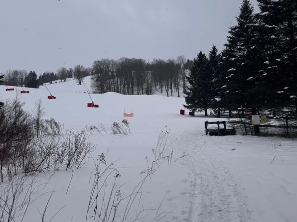 39 Pine River Cres, Mulmur, ON L9V 3H3