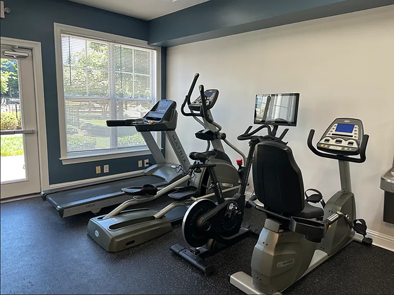 Bike - Treadmill - Elliptical - Echelon Bike