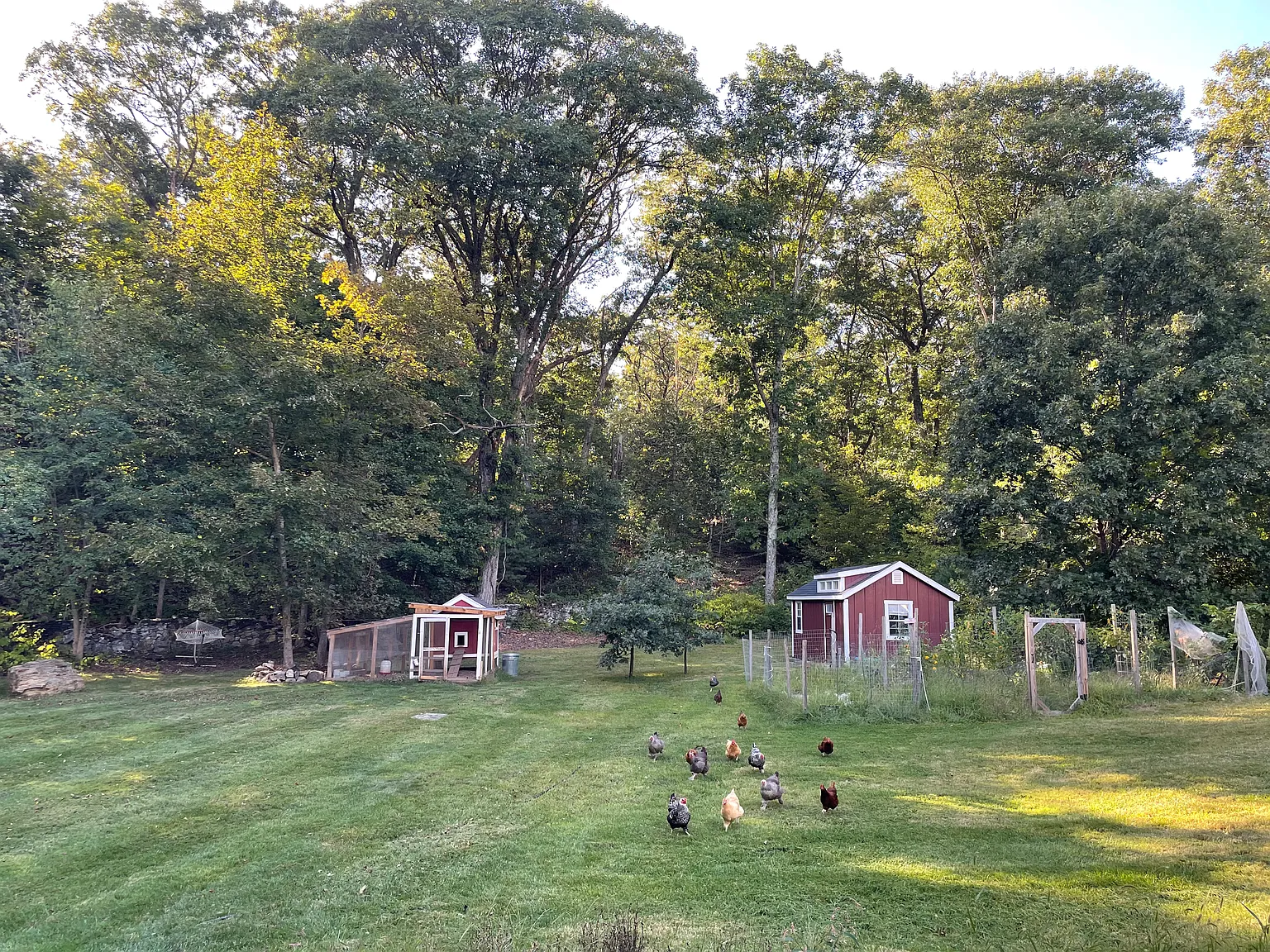 3 bed, 1.5 bath, 1600 sqft, $3,250 — Photo 4