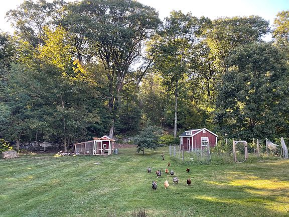 Backyard chickens, fenced garden, and backyard office + shed!