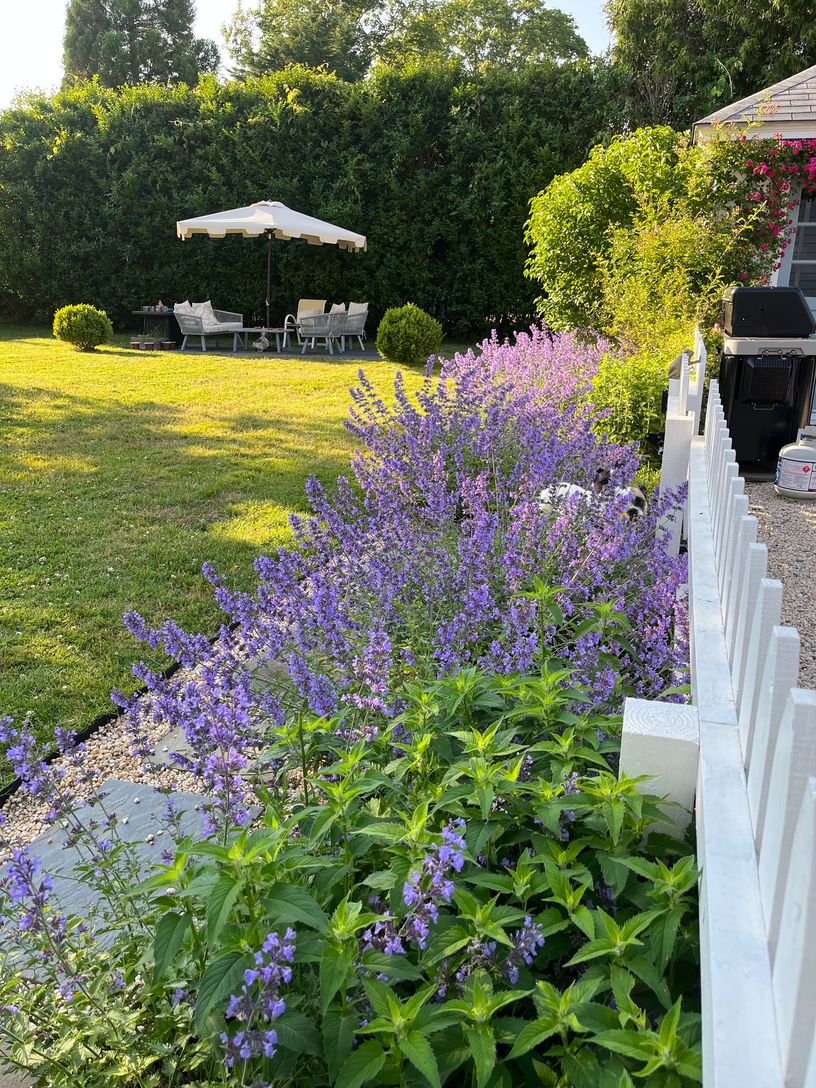 Beautiful landscaping