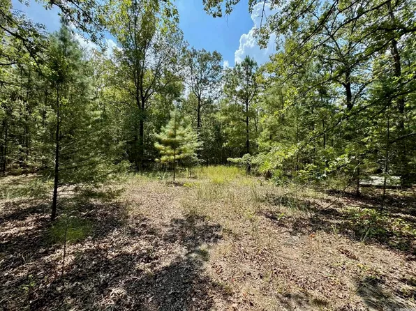 501 Addison Rd, Bonnerdale, AR 71933