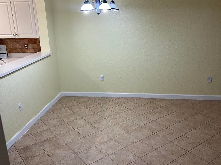 4113 Napoli Lake Dr — Photo 3