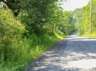 Camp Winsoki Rd, Rensselaerville, NY 12147