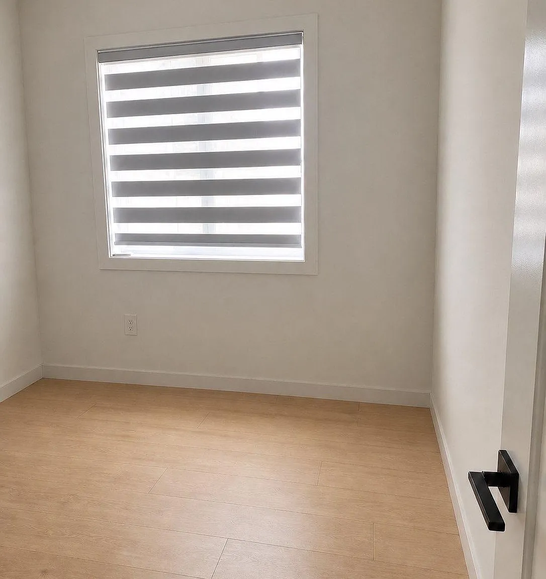 1 bed, $800 — Photo 2