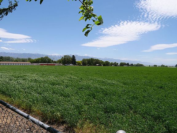 View from the back yard. 